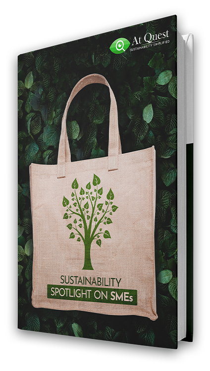 Guide for Small and Medium Enterprises to implement Sustainability, 